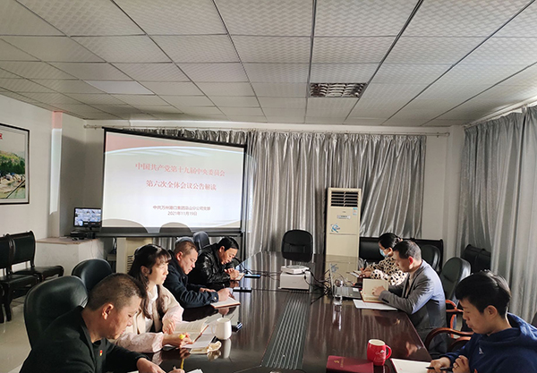 11.19巫山分公司组织全体党员学习贯彻党的十九届六中全会精神.jpg